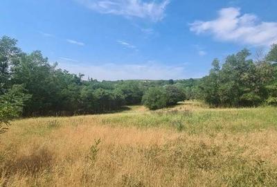 Teren de 12922 mp, în Loamneș - 1