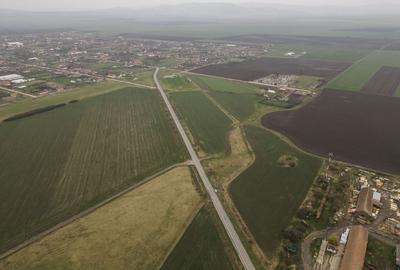 Teren 76.000mp intre Santana ?i Caporal Alexa - 8