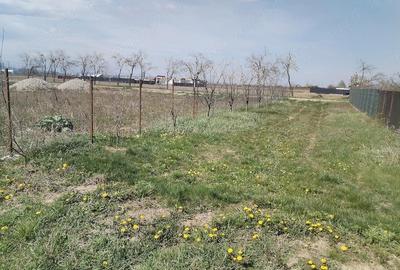 Teren de 5500 mp, în Ruși-Ciutea - 8
