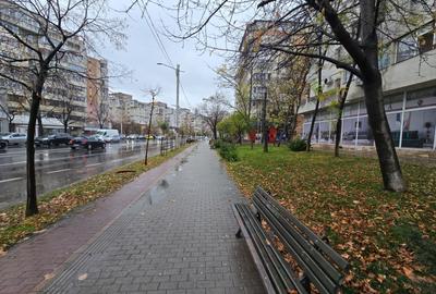Spatiu comercial 175 mp Pacurari - la bulevard . VAD auto si pietonal - 2