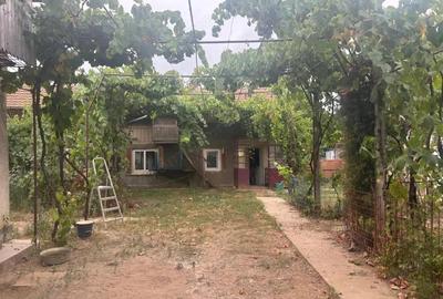 Casa recent renovata, 2023 mp teren, comuna Leu , RATE !!! - 9