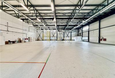 Hala industriala premium cu birouri | Parc Industrial Vest | Acces TIR - 4