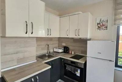 Apartament cu o camera in zona Blajcovici - 3