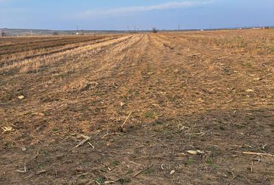 Spațiu comercial, în Marginea - 2