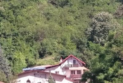 Casă cu 5 camere cu Teren 4200 Mp în Băile Herculane - 10