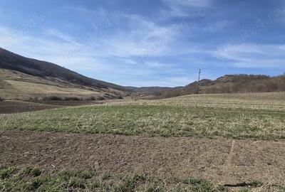 Teren de 600 mp, în Central - 2