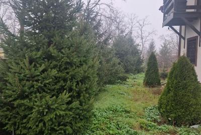 Casă cu 5 camere în Scorțaru Vechi - 2