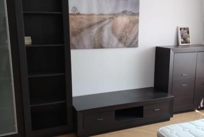 Apartament 1 camera, Moara de foc, 40 mp - 2