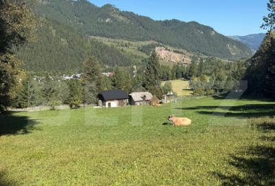 Teren intravilan 9368 mp, front 174 ml, localitatea Pojorata - 1