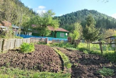Casă cu 4 camere în Ruginoasa - 2