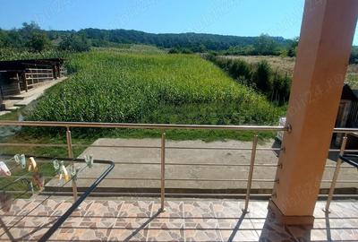 Casă cu Teren 3000 Mp în Homocea