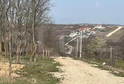 Spațiu comercial, în Paleu