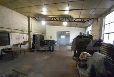 Hale pentru industrie grea ( confectii metalice) - 8