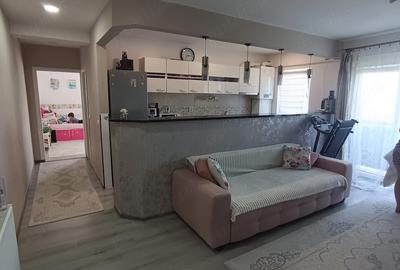 Apartament cu 2 camere semidecomandat în Sânandrei - 2
