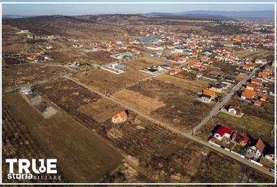 Spațiu comercial, în Apalina - 14