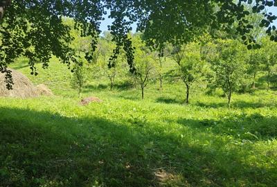 Teren intravilan 1035 mp cu parau, Breaza, Prahova Teren intravilan 1035 mp cu parau, Breaza, Prahova - 1