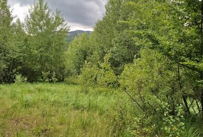 Teren intravilan de 12.147 m² de vânzare în Sovata, pe strada Răchitei - 5