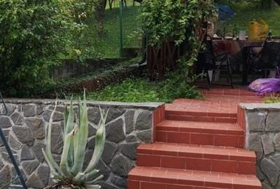 OPORTUNITATE VILA POIANA CAMPINA - 5