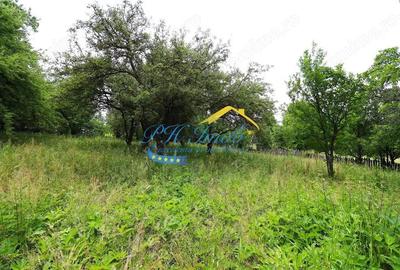 Teren intravilan de vanzare Valea Doftanei, Prahova - 3