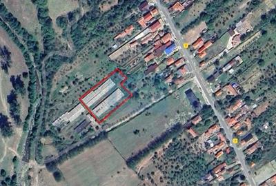 Spațiu comercial, de 1,260 mp, în Balotești - 1