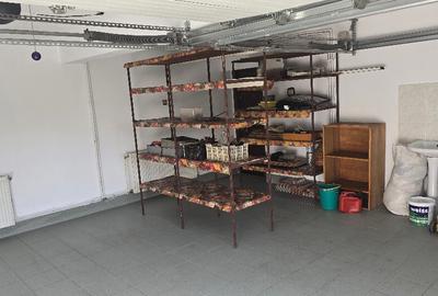 Vand proprietate in Deva. zona Ceangai, compusa din 2 case de locuit, - 3