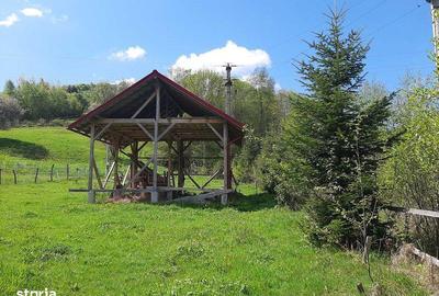 Teren de 13783 mp, în Avram Iancu - 2