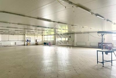 Spatii productie si depozitare, zona Sebis - Prunisor-Carand - 7
