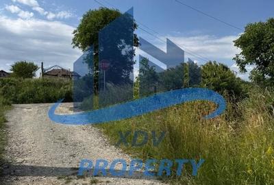 Teren intravilan  ,1020 mp, Sibiu, Daia Noua - 7