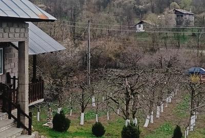 Casă cu 3 camere cu Teren 2800 Mp în Central - 6