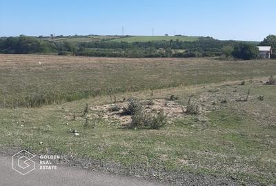 Teren Construcții intravilan de 3699 mp, în Exterior Vest - 1