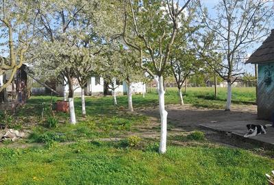 Casă cu 2 camere cu Teren 2870 Mp în Central - 9