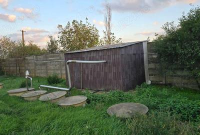 Vand Abatorul din Carani (intre TM si AR ) 6400 mp teren intravilan, 3000mp betonat, 1200 mp frigo - 1