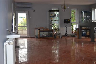 Vanzare sau inchiriere imobil sos Chitilei - 8