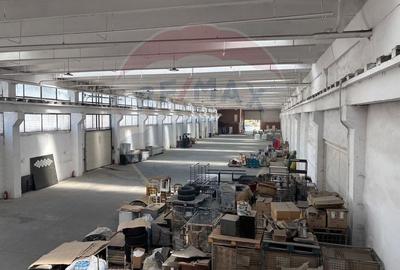 Spațiu industrial, de 2,251 mp, în Iris - 4