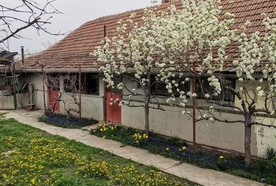 Casă cu grădină mare, aproape de Arad – preț promoțional 29.900 € - 1