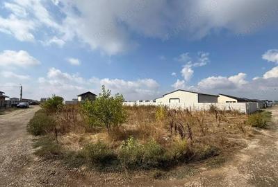 Teren de 451 mp, în Berceni - 4