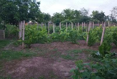 Casa Zorleni, 4 camere 130 mp + anexe, curte 1800 mp Casa Zorleni, 4 camere 130 mp + anexe, curte 1800 mp - 6