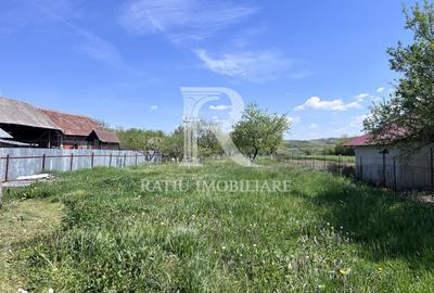 Casă cu 1 camere cu Teren 3000 Mp în Copăcel - 10