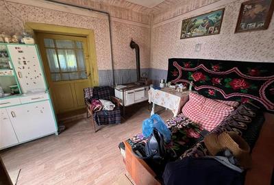De vanzare casa veche+teren de 50 arii in Vidrasau - 4