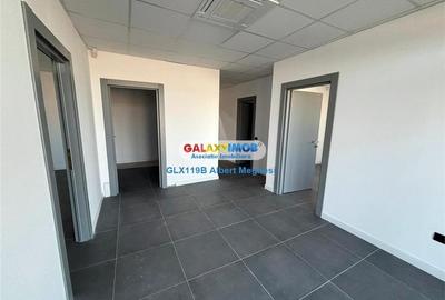 Inchiriere hala depozitare Parc Industrial TBM Rudeni Inchiriere hala depozitare Parc Industrial TBM Rudeni - 10