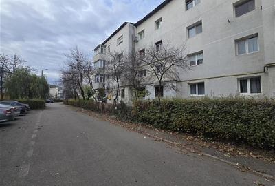 Apartament cu 2 camere decomandat în Milcov - 10