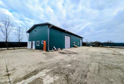 Spațiu industrial, de 240 mp, în Hodiș - 2