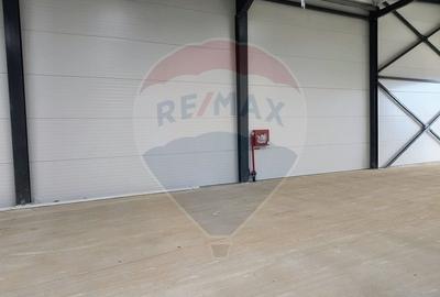 Spațiu industrial, de 599 mp, în Cernica - 8
