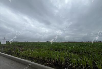 Teren intravilat de 9000 mp cu PUZ situat in zona Industriala Vest - 2