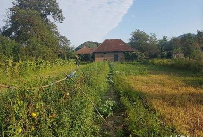 Vand casa, teren agricol si padure in Cheud - 6