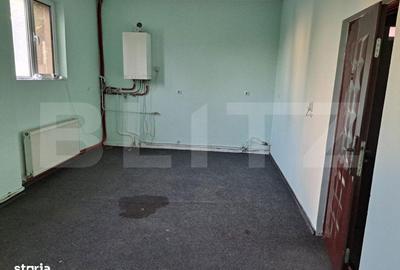 Spațiu comercial, de 340 mp, în Paltin - 1