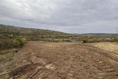 Terenuri de vanzare Saldabagiu de Munte - zona lac 625-1057 mp - front stradal 26 metri - 1