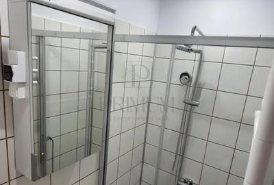 Garsoniera-Mobilata-Utilata-Buziasului - 5