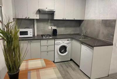 Garsoniera de inchiriat in zona Piata Romana Garsoniera de inchiriat in zona Piata Romana - 2