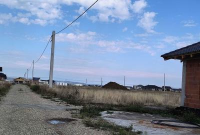 Spațiu comercial, în Cihei - 8